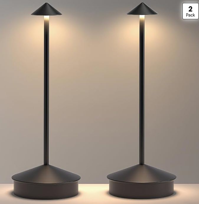 2 Pack LED Cordless Table Lamp